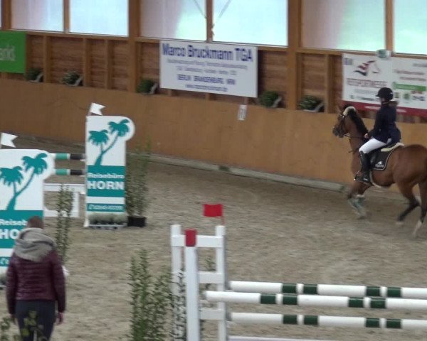 Reitturnier Xanten - Reitanlage Miss 2020