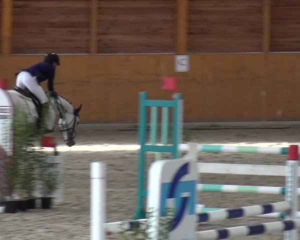 Reitturnier Xanten - Reitanlage Miss 2020