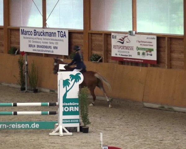 Reitturnier Xanten - Reitanlage Miss 2020