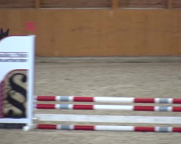 Reitturnier Xanten - Reitanlage Miss 2020