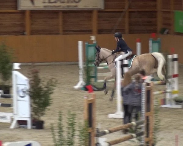 Reitturnier Xanten - Reitanlage Miss 2020