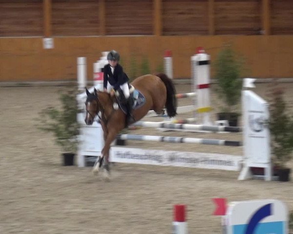 Reitturnier Xanten - Reitanlage Miss 2020