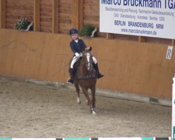 Reitturnier Xanten - Reitanlage Miss 2020