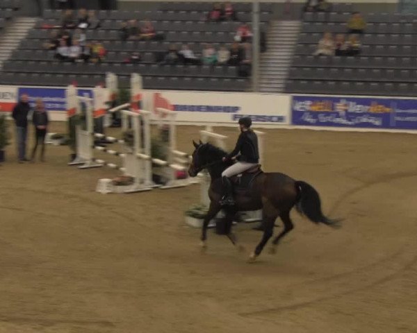 jumper Sharp Valentine (Oldenburg, 2008, from Serano Gold)