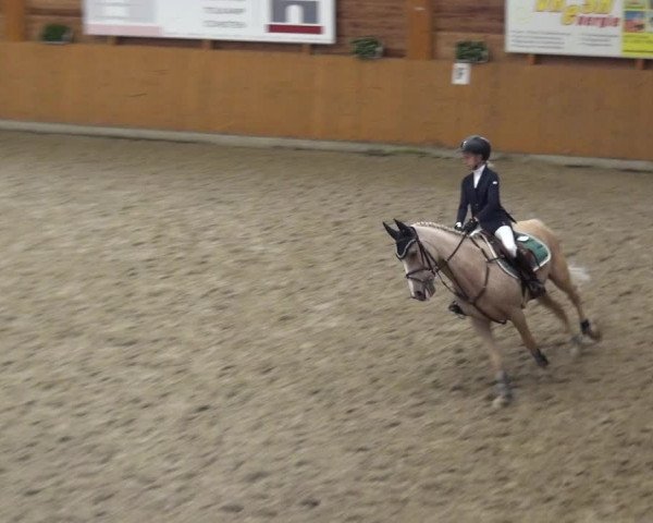 Reitturnier Xanten - Reitanlage Miss 2020