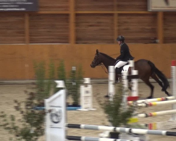 Reitturnier Xanten - Reitanlage Miss 2020