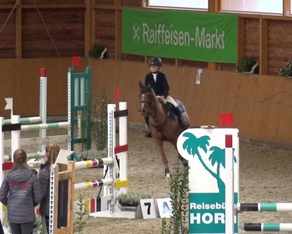 Reitturnier Xanten - Reitanlage Miss 2020