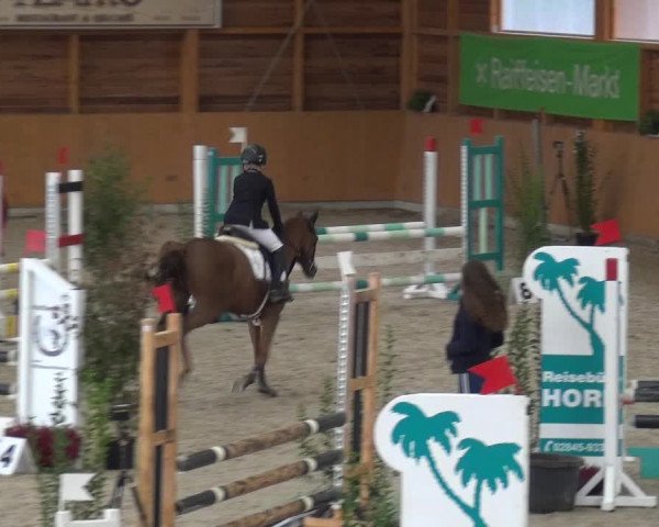 Reitturnier Xanten - Reitanlage Miss 2020