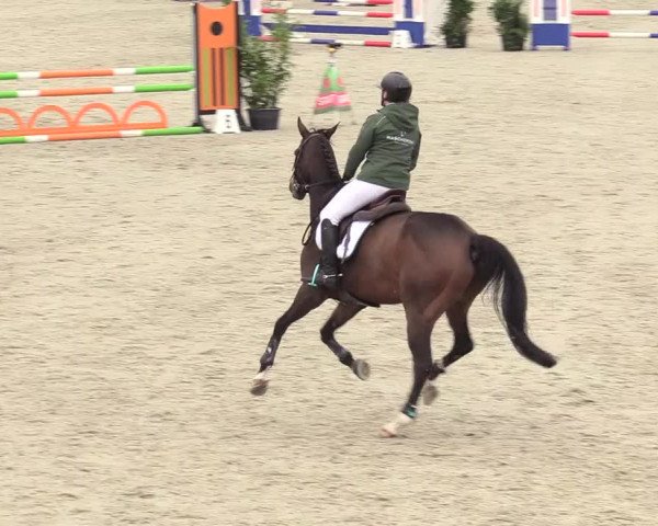 Reitturnier Westergellersen 2020
