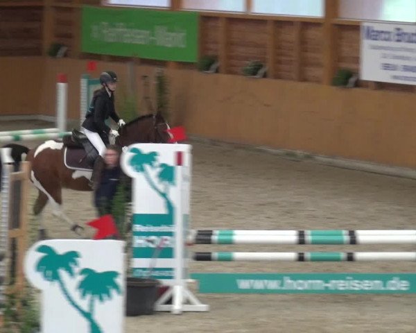 Reitturnier Xanten - Reitanlage Miss 2020