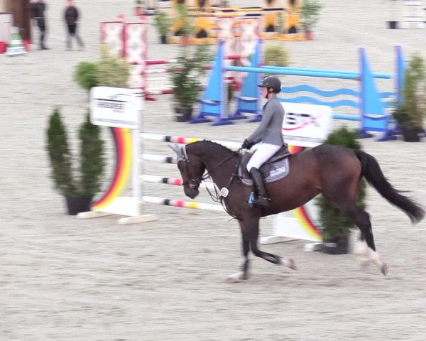Reitturnier Westergellersen 2020