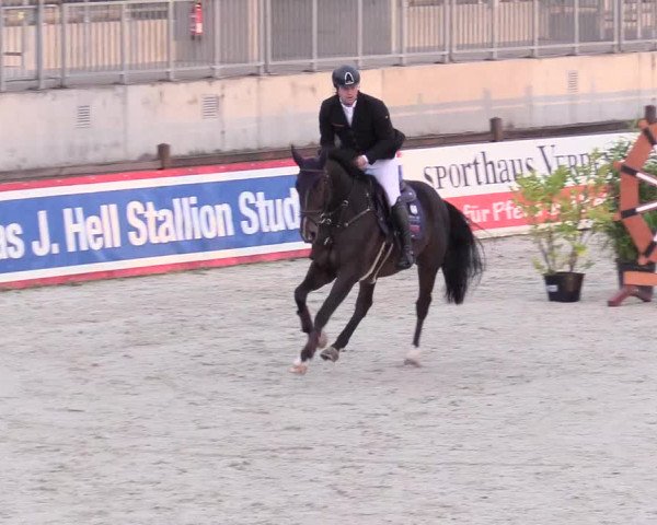 Reitturnier Westergellersen 2020