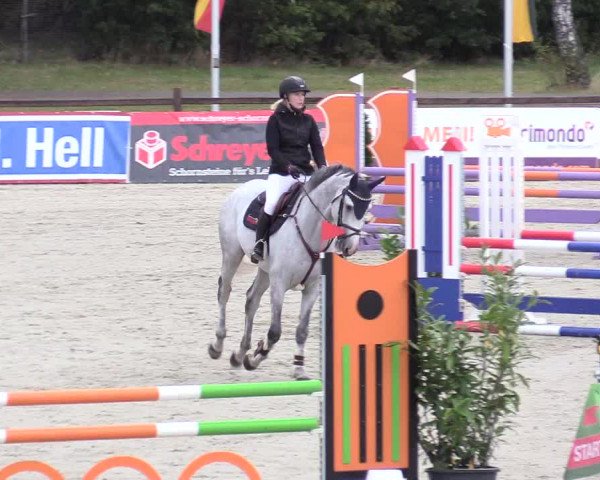 Reitturnier Westergellersen 2020