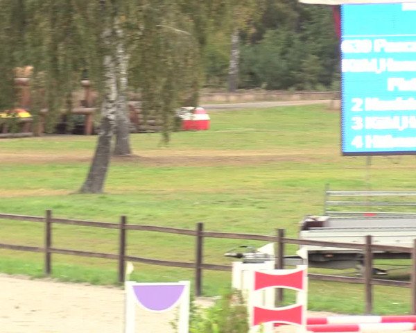Reitturnier Westergellersen 2020