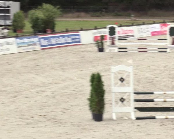 Reitturnier Westergellersen 2020