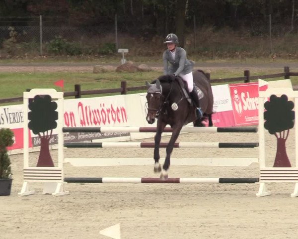 Reitturnier Westergellersen 2020