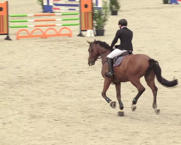 Reitturnier Westergellersen 2020