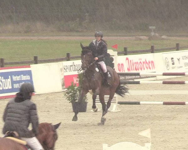 Reitturnier Westergellersen 2020
