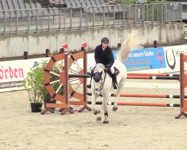 Reitturnier Westergellersen 2020