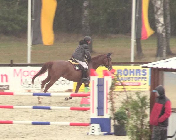 Reitturnier Westergellersen 2020