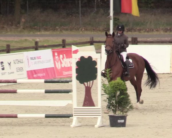 Reitturnier Westergellersen 2020