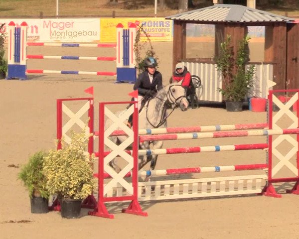 Reitturnier Westergellersen 2020