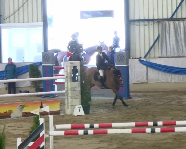 Reitturnier Buchs 2021