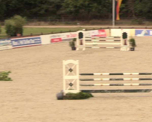 Reitturnier Westergellersen 2020