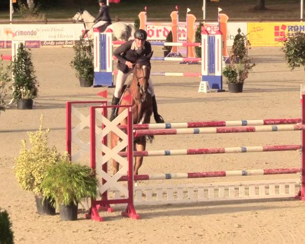 Reitturnier Westergellersen 2020