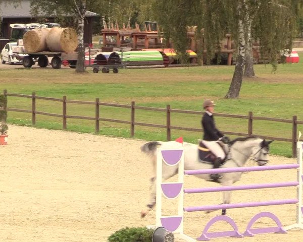 Reitturnier Westergellersen 2020