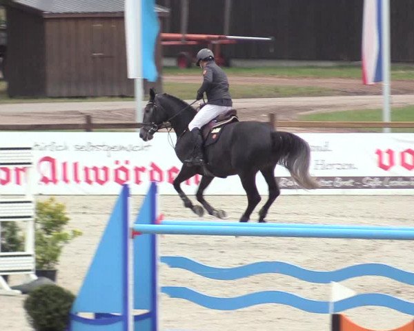 Reitturnier Westergellersen 2020