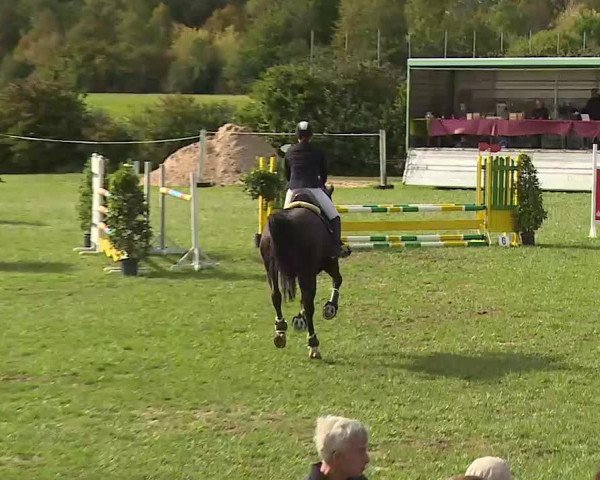 Reitturnier Bad Windsheim/Mfr. 2020