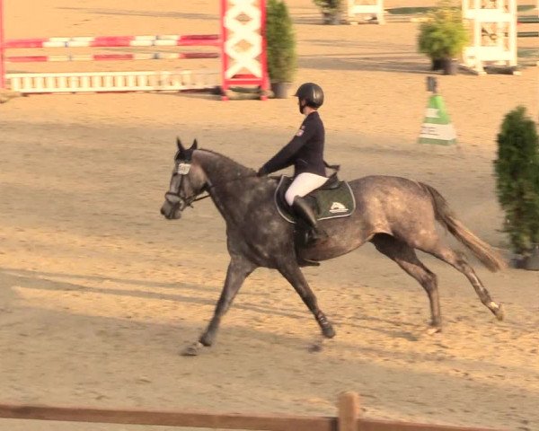 Reitturnier Westergellersen 2020