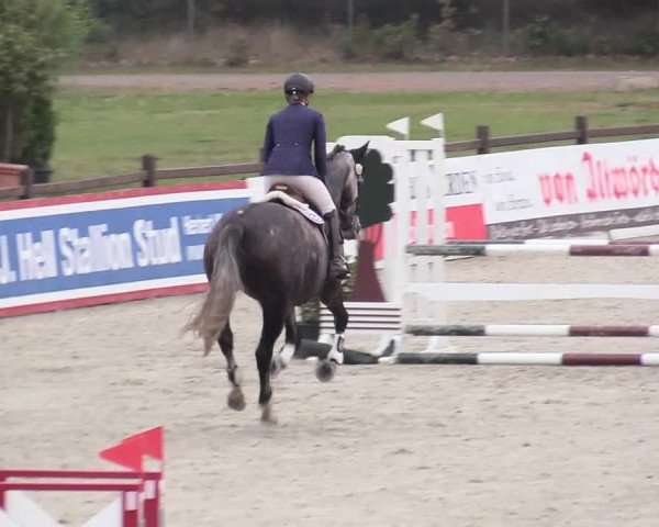 Reitturnier Westergellersen 2020