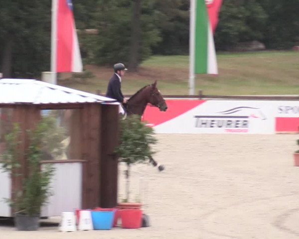 Reitturnier Westergellersen 2020