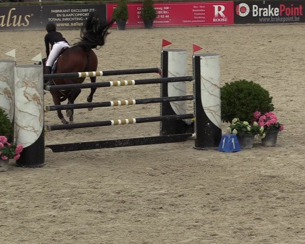 FEI Reitturnier Lier (BEL) 2020