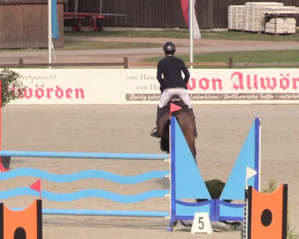 Reitturnier Westergellersen 2020