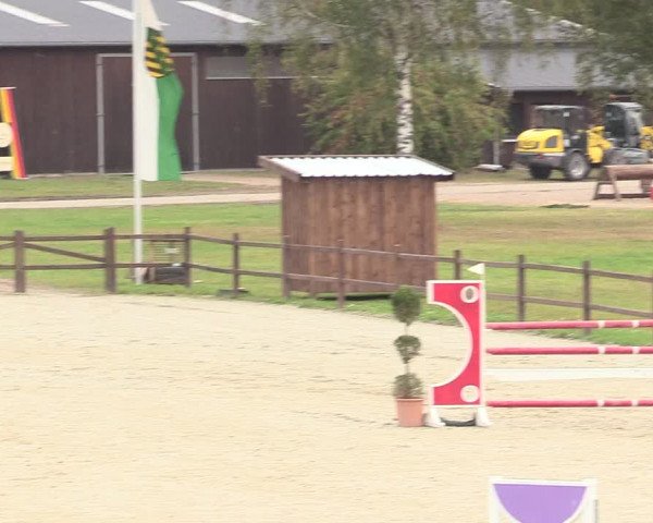 Reitturnier Westergellersen 2020