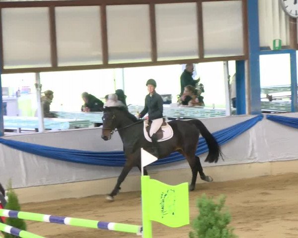 Reitturnier Buchs 2021