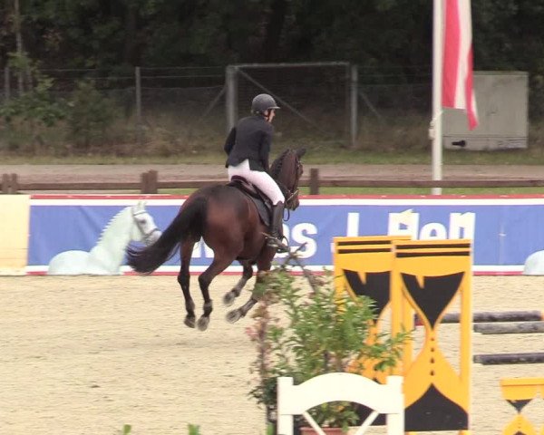 Reitturnier Westergellersen 2020