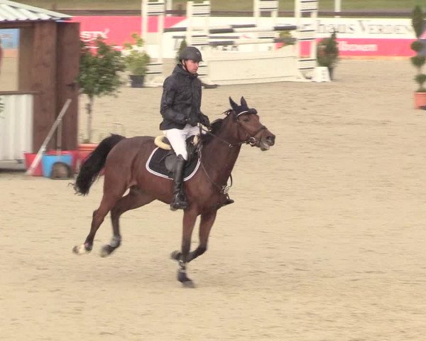 Reitturnier Westergellersen 2020