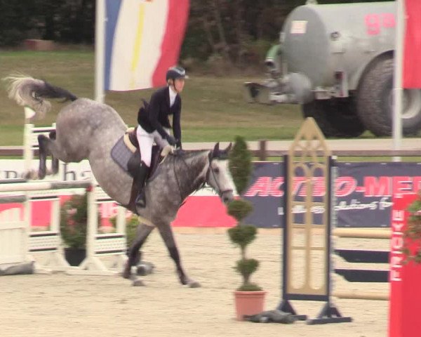 Reitturnier Westergellersen 2020