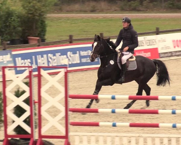 Reitturnier Westergellersen 2020