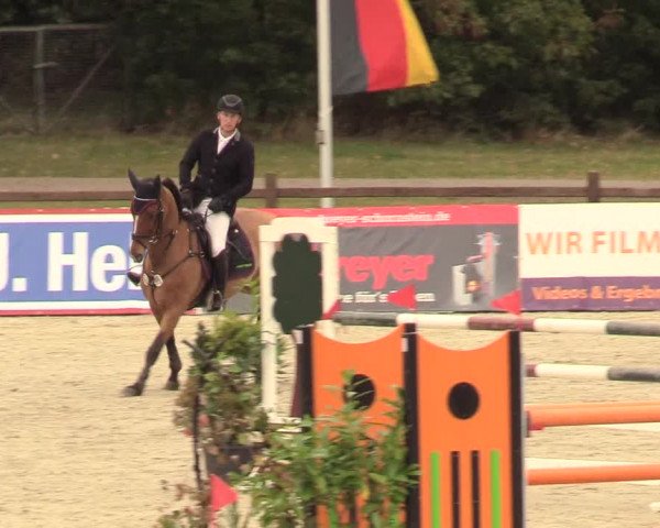 Reitturnier Westergellersen 2020