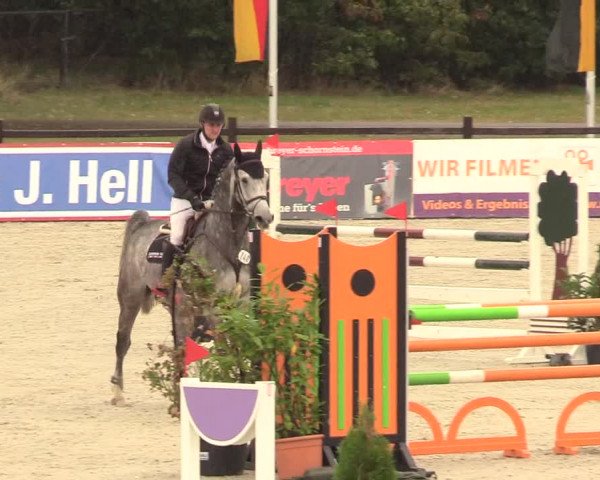 Reitturnier Westergellersen 2020