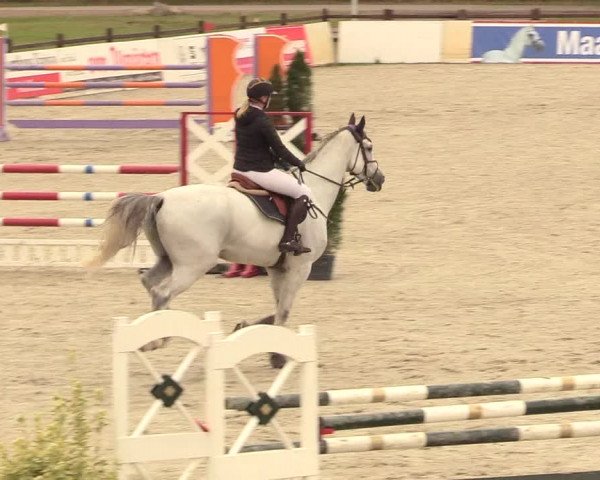 Reitturnier Westergellersen 2020