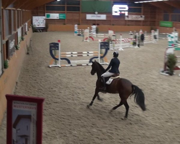 Reitturnier Xanten - Reitanlage Miss 2020