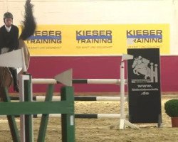 jumper Quint 13 (Holsteiner, 2009, from Quirado)