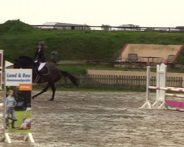 Reitturnier Schülp / Rendsburg 2020