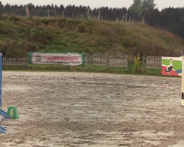 Reitturnier Schülp / Rendsburg 2020